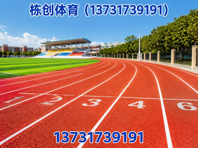 青县硅PU球场展示图